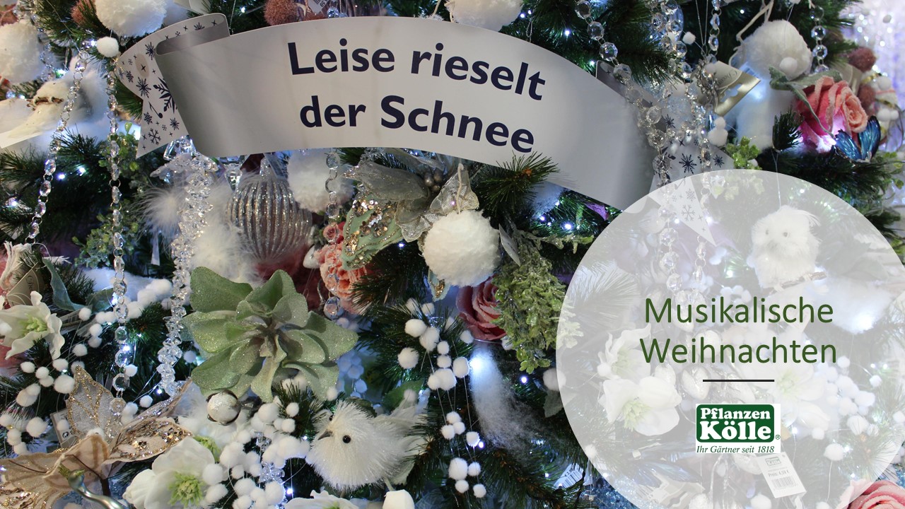 M wie: Musikalische Weihnachten